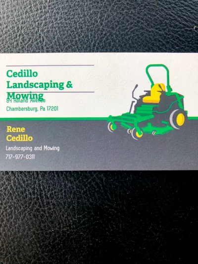 Cedillo Sales LLC