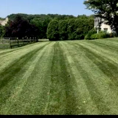 Grow N Mow