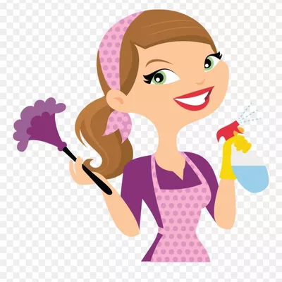 House Cleaning D.F.L