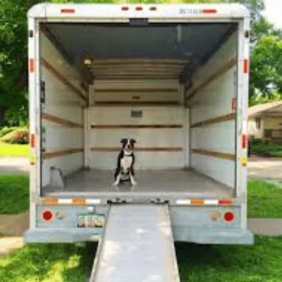 A Plus Rated Movers