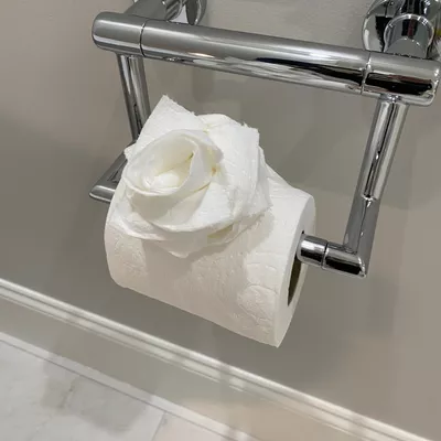 Best Brazilian Cleaning Services LLC