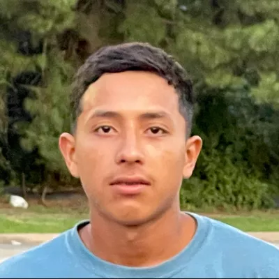 Rauls Lawn and Landscaping service