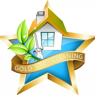 Express cleaning services