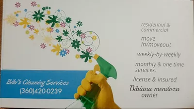 Bibi's cleaning services