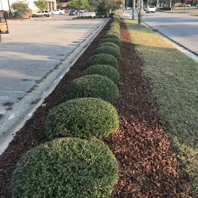 CYJ landscaping