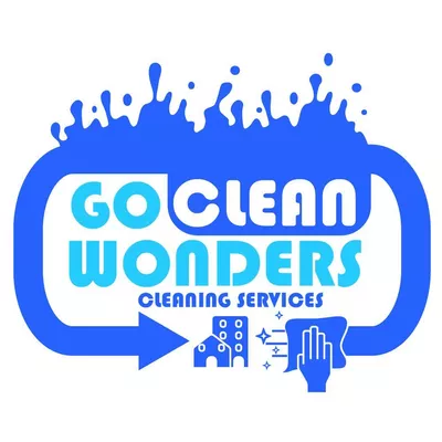 Go Clean Wonders