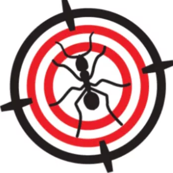 Absolute Pest Management