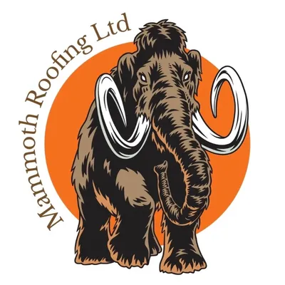 Mammoth Services Ltd