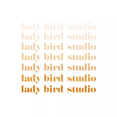 lady bird studio