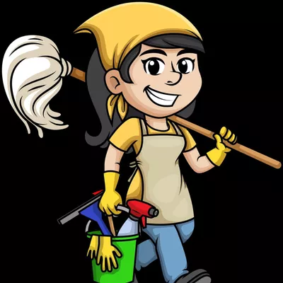 Lil's cleaning service