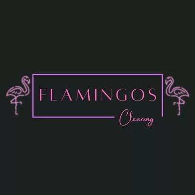 Flamingos Cleaning