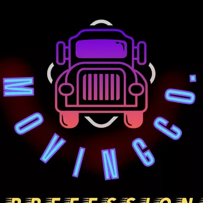 The perfessionals