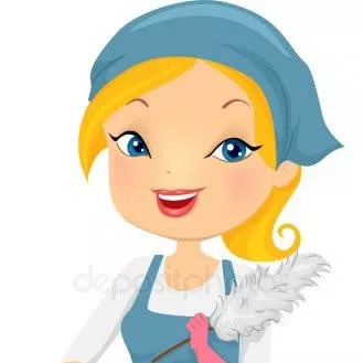 General cleaning service