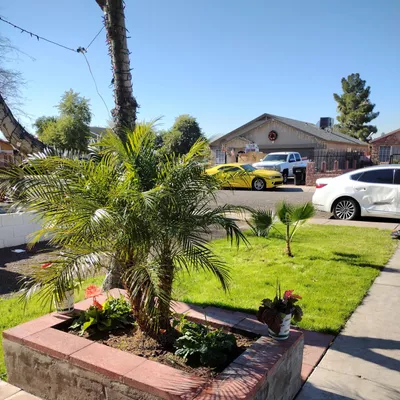 AZ finest landscaping