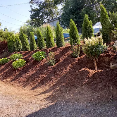 Mejia'slawncutservices
