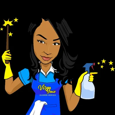 Virgo Genie Cleaning Services