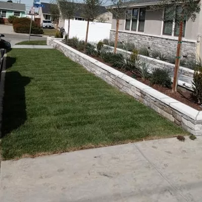 Loza Landscaping