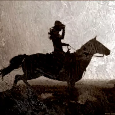 Saddle Up Cleaning LLC