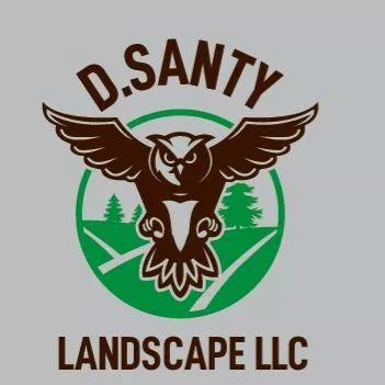 D.SANTY LANDSCAPE LLC