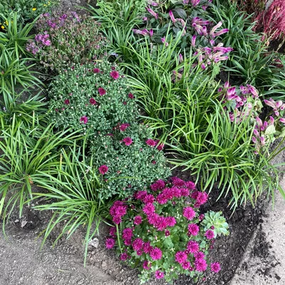 KIRBY LANDSCAPING