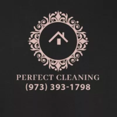 perfect cleaning✨