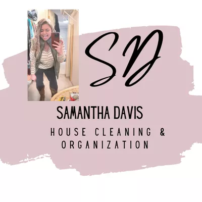 The SCENTsational Cleaner