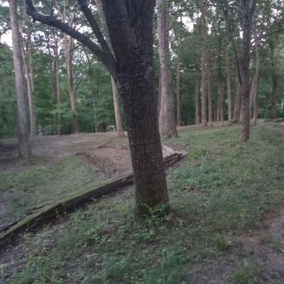 SACHS LAWN CARE