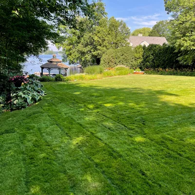 Davis Brothers Cleanup & landscaping