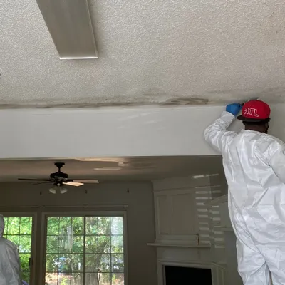 BCD Painting and Cleaning
