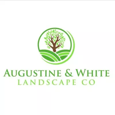 Augustine & White Landscape