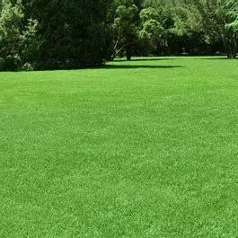 Lawns and Sprinklers by Czak