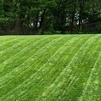 Amayas Lawn Care