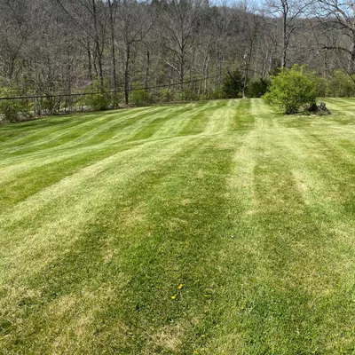 B&D lawn care
