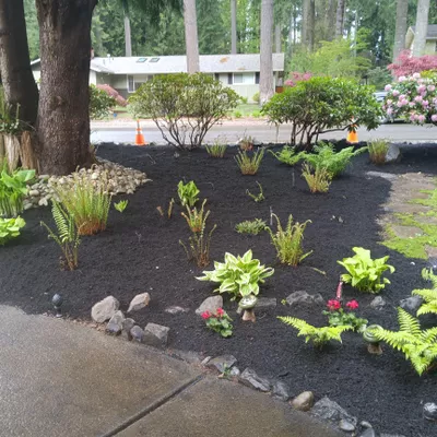 Taylor landscaping in