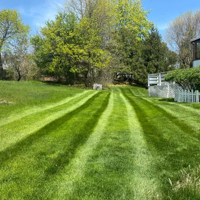 MG lawn care