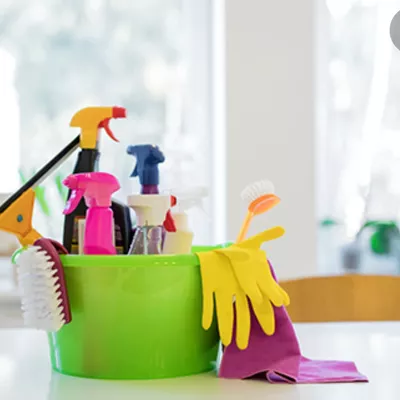 Audri Professional Cleaning Service