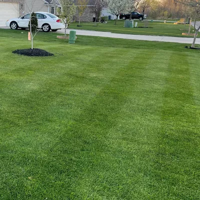Adams Lawn Services