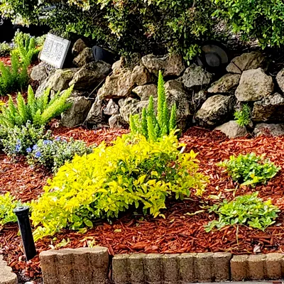 Whitaker's Full Service LawnCare