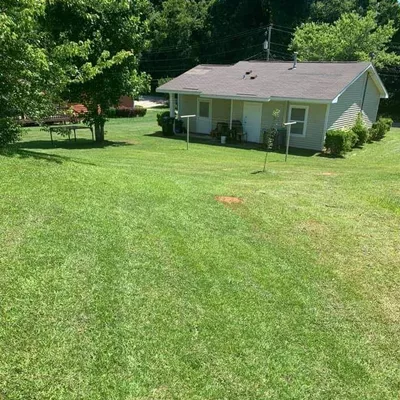 Tru Yardmother Lawn Services