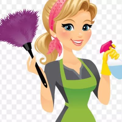 Best home cleaning