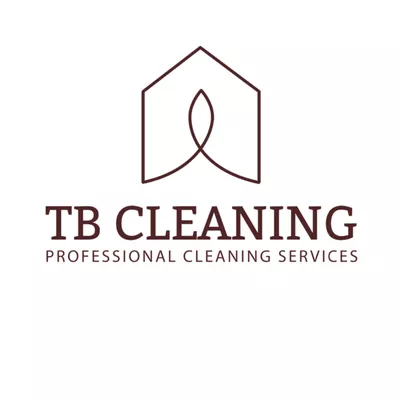 TB cleaning services (INSURED)