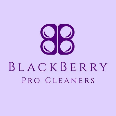 BlackBerry Pro Cleaners