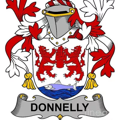 Donnelly home improvements