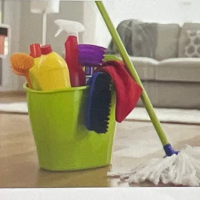 Aldicia cleaning
