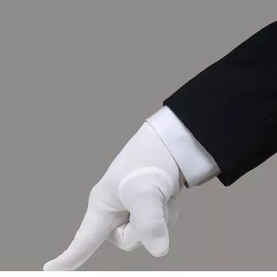 The White Glove Cleaner