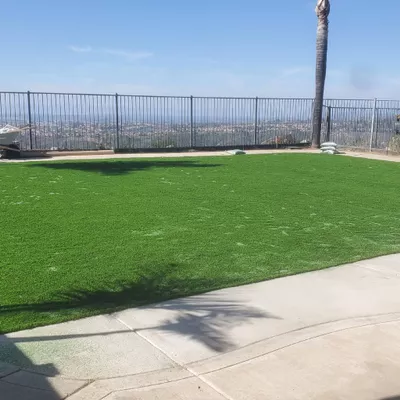 Mendoza Lawn Care Services