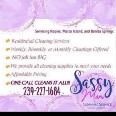 Sassy Mom Cleaning Service