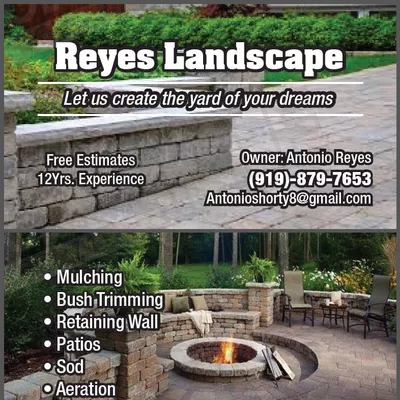 Reyes landscape