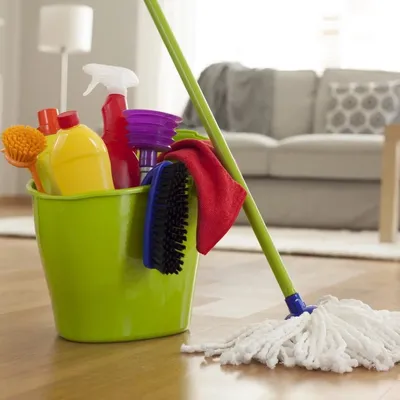 Naara Morais Cleaning Services
