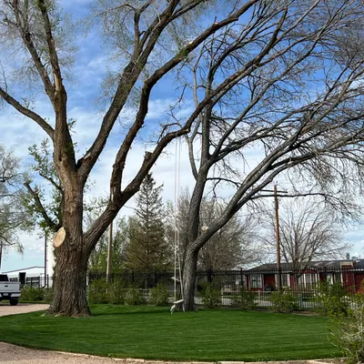 ML LANDSCAPING LLC